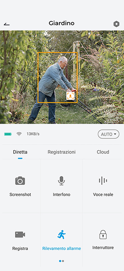 Rilevamento AI in Cloud